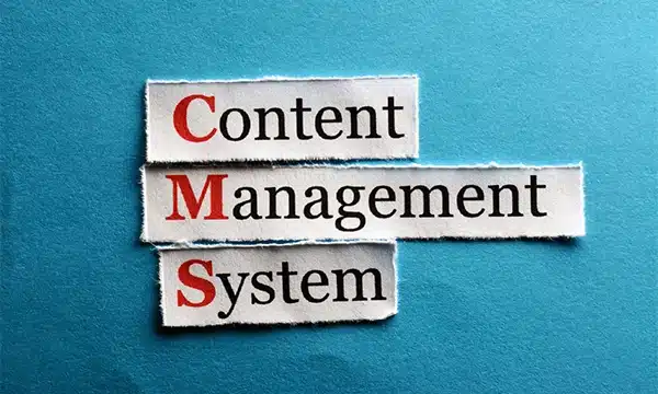 Content Management Systems