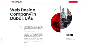 Normal Difficulties and How Dubai Web Design (DWD) Settles Them